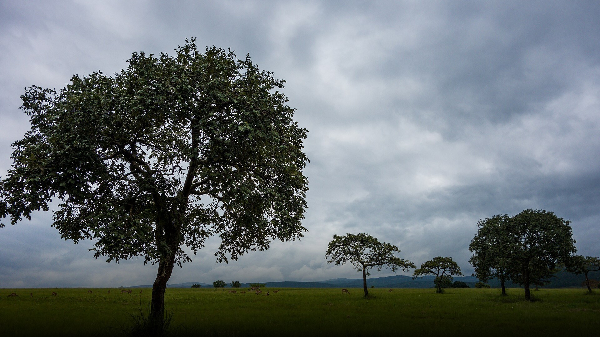 Verdant green rolling mountain slopes and valley landscapes in Eswatini under a scenic sky.