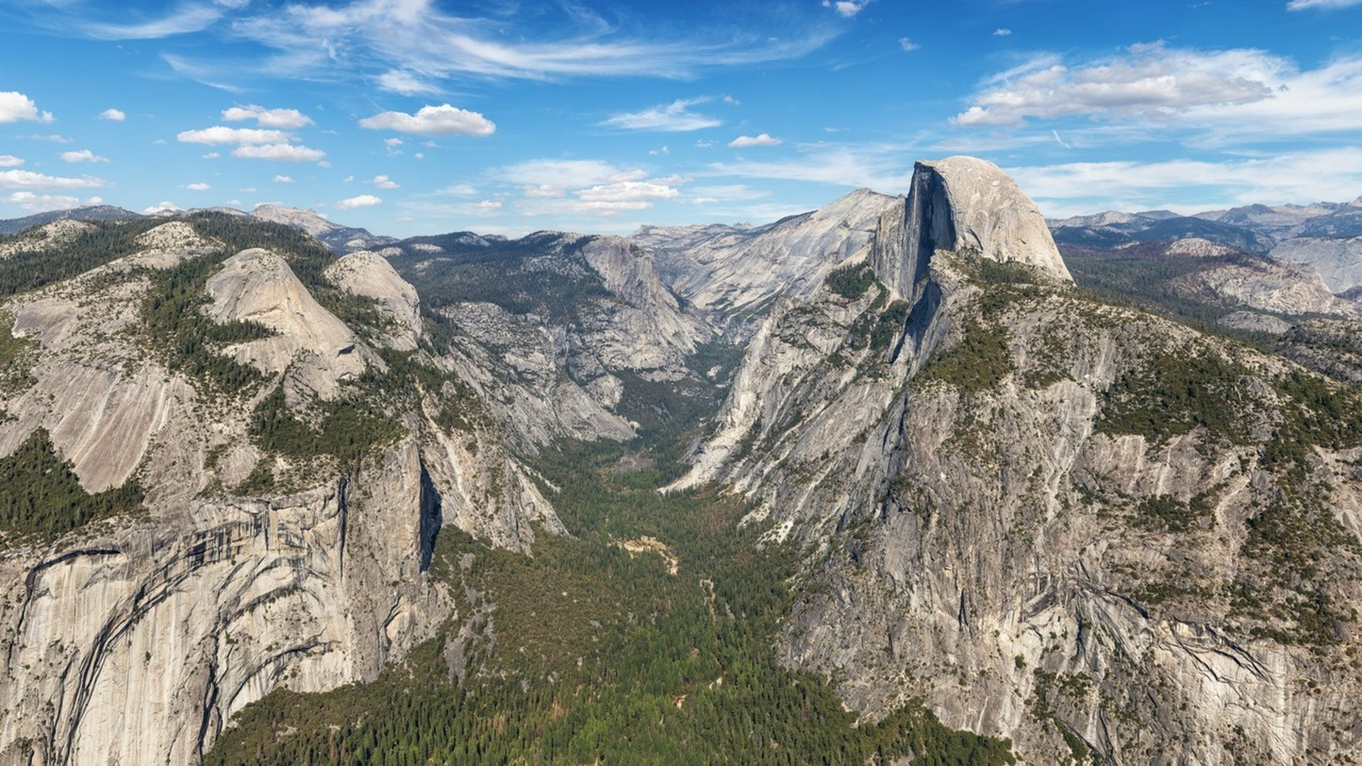 Iconic granite face of El Capitan towering over the lush green meadow and pine trees of Yosemite Valley.