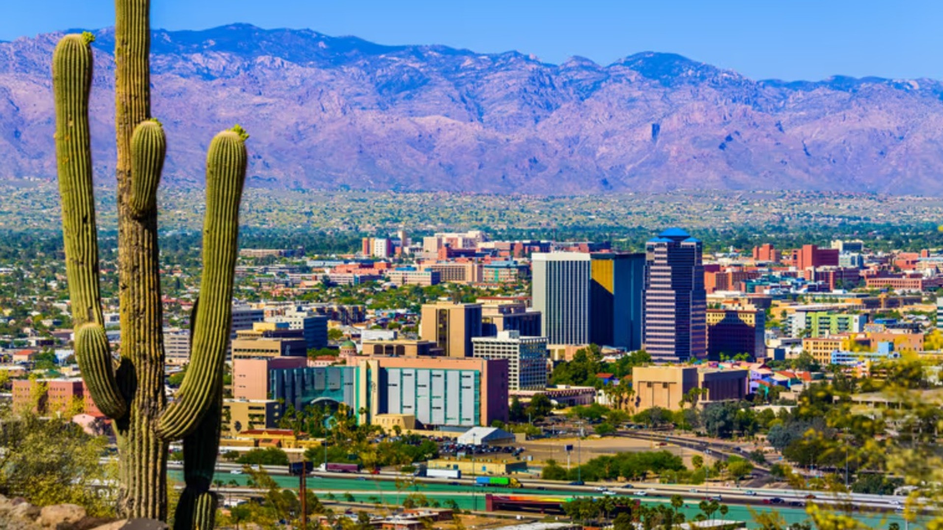 Saguaro cacti standing tall across the golden Sonoran desert foothills surrounding Tucson, Arizona.